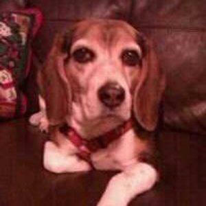 Meet your Posher, Mercedes